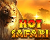 Hot Safari